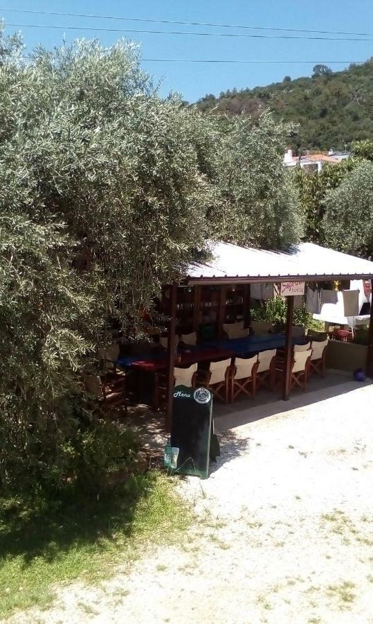 Hotel George Chrysi Ammoudia Exterior photo